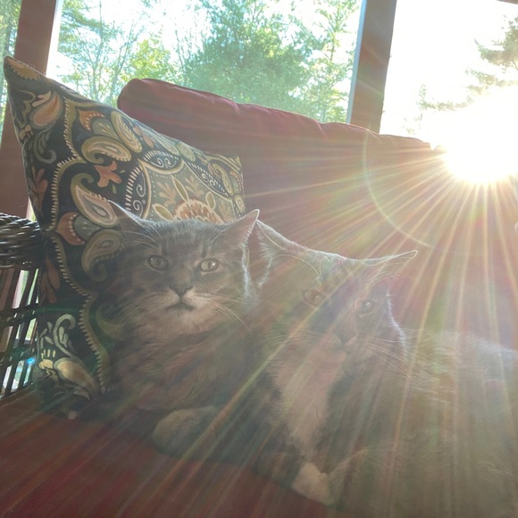 Meet your Posher, Brett - Picture 1 of 1